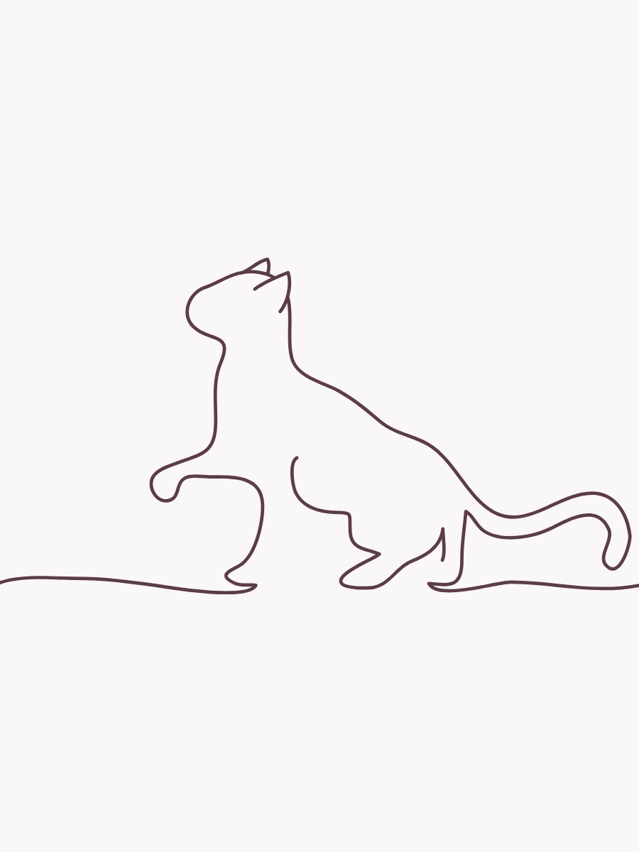minimal line cat