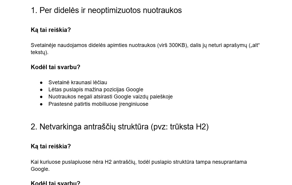 Svetainių SEO auditas