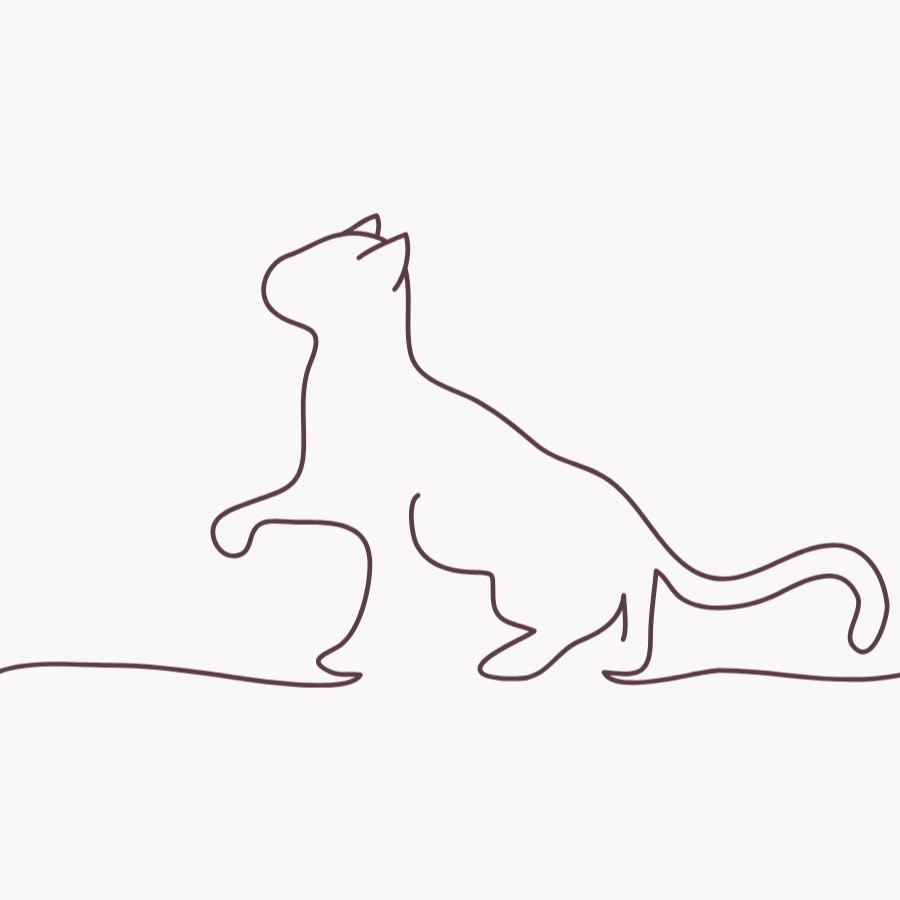 minimal cat line art