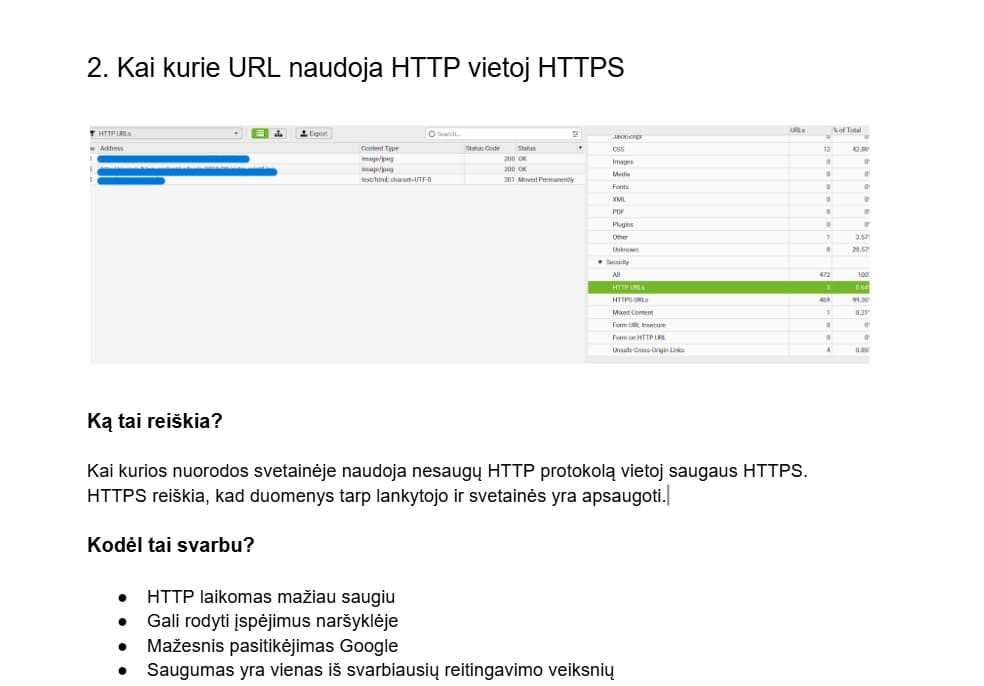 techninis seo auditas